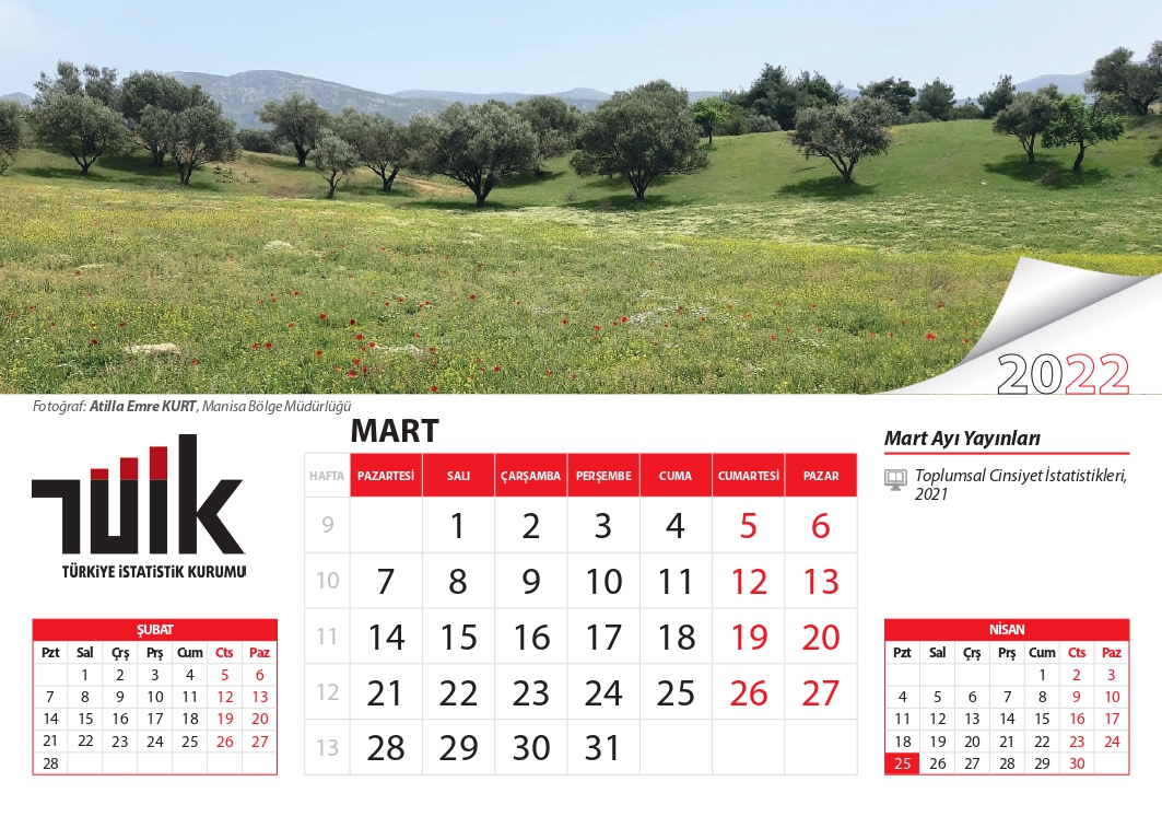 atillaemre kurtmanşsa